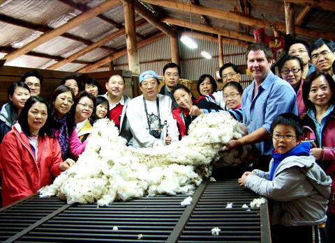Curringa Farm - Accommodation And Farm Tours - Kawana Tourism 2