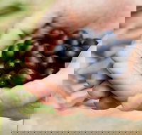 Eat Pick Grow Trail - Wanneroo and Chittering - Kawana Tourism