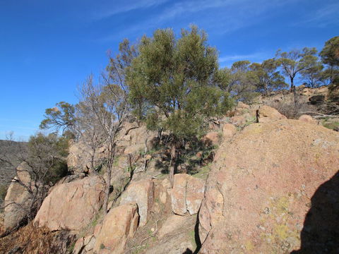 Eldorado And The Woolshed Valley - Kawana Tourism 2