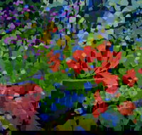 Ferry Artists Gallery