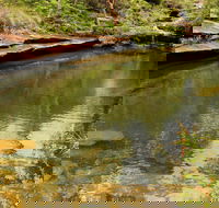 Hominy Creek Walking Track