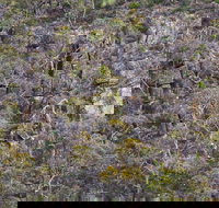 Horsnell Gully and Giles Conservation Parks - Kawana Tourism