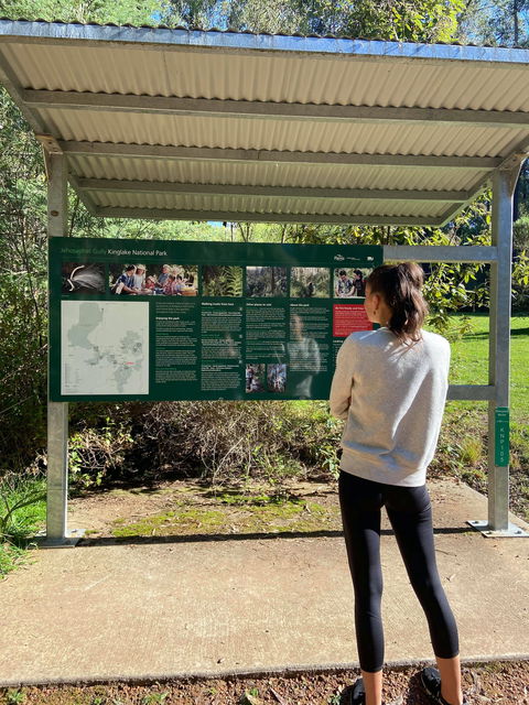 Jehosaphat Gully Picnic Area - Kawana Tourism 0
