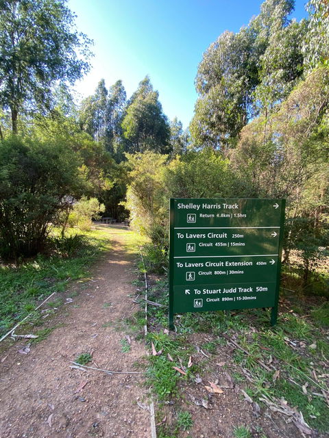 Jehosaphat Gully Picnic Area - Kawana Tourism 2