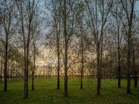 John Tucker Park - Kawana Tourism 1