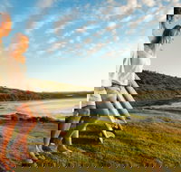 Killalea Reserve - Kawana Tourism