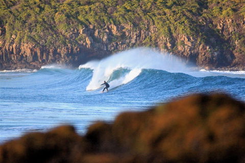 Killalea Reserve - Kawana Tourism 1