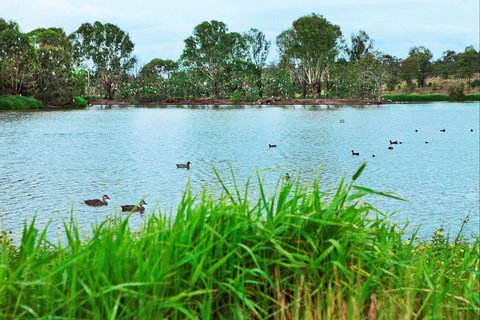 Lake Apex Park - Kawana Tourism 1