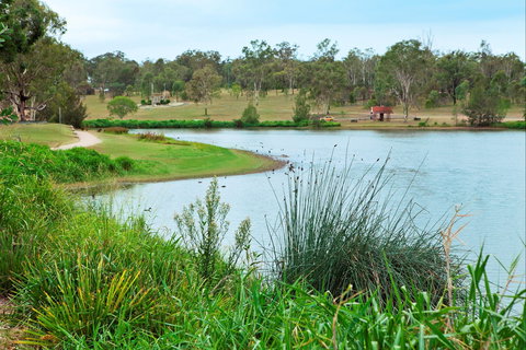 Lake Apex Park - Kawana Tourism 2