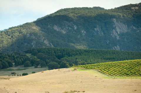 Langi Ghiran State Park - Kawana Tourism 0