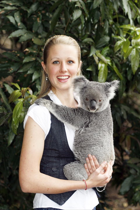 Lone Pine Koala Sanctuary - Kawana Tourism 1