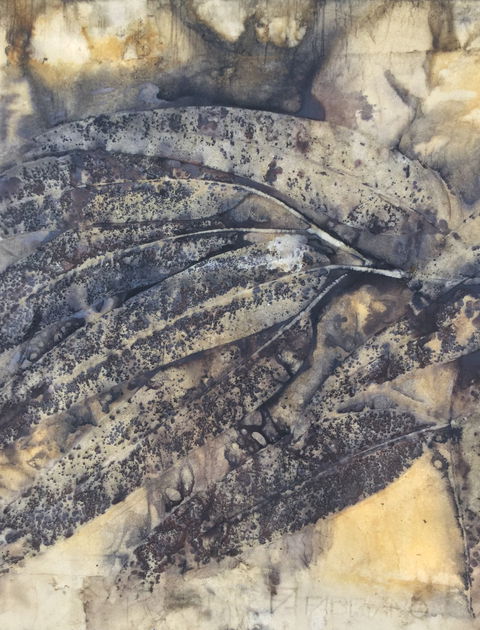 Lyrebirds Lair Gallery And Gifts - Kawana Tourism 1