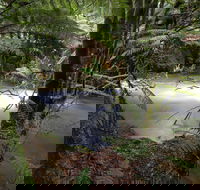 Marriotts Falls and Junee Caves - Kawana Tourism