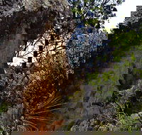 Mystery Face Walking Track - Kawana Tourism