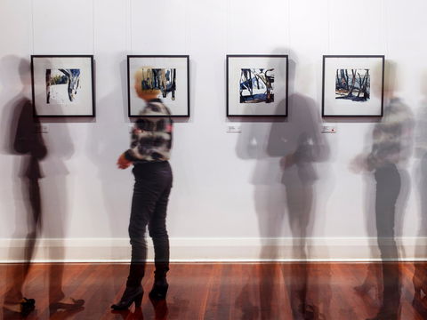 Northern Rivers Community Gallery - Kawana Tourism 0