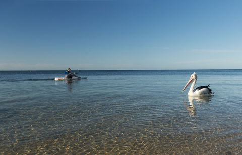 North Beach - Kawana Tourism 1