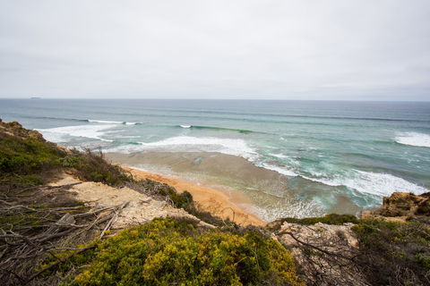 Ocean Grove Main Beach - Kawana Tourism 1