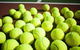 Old Bar Tennis Club - thumb 0
