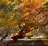 Richmond - Kawana Tourism