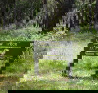 Ritchie's Hut - Kawana Tourism