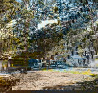 River Walk Boonoo Boonoo National Park - Kawana Tourism