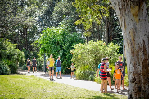 Round The Bay Walking Track: Huskisson To Vincentia - Kawana Tourism 1