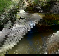 Second Ponds Creek Walk - Kawana Tourism