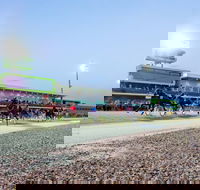Tabcorp Park - Kawana Tourism
