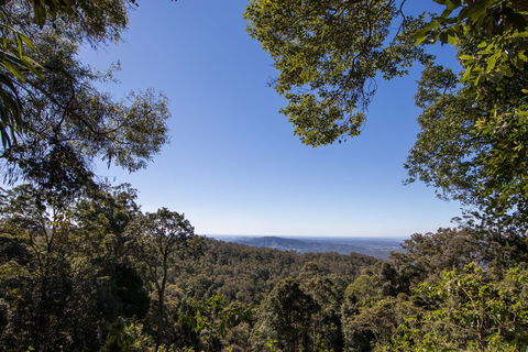 Thylogale Track - Kawana Tourism 2