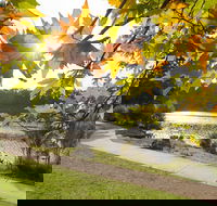 Wentworth Falls Lake - Kawana Tourism