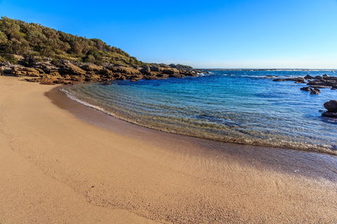 Wilsons Beach - Kawana Tourism 0