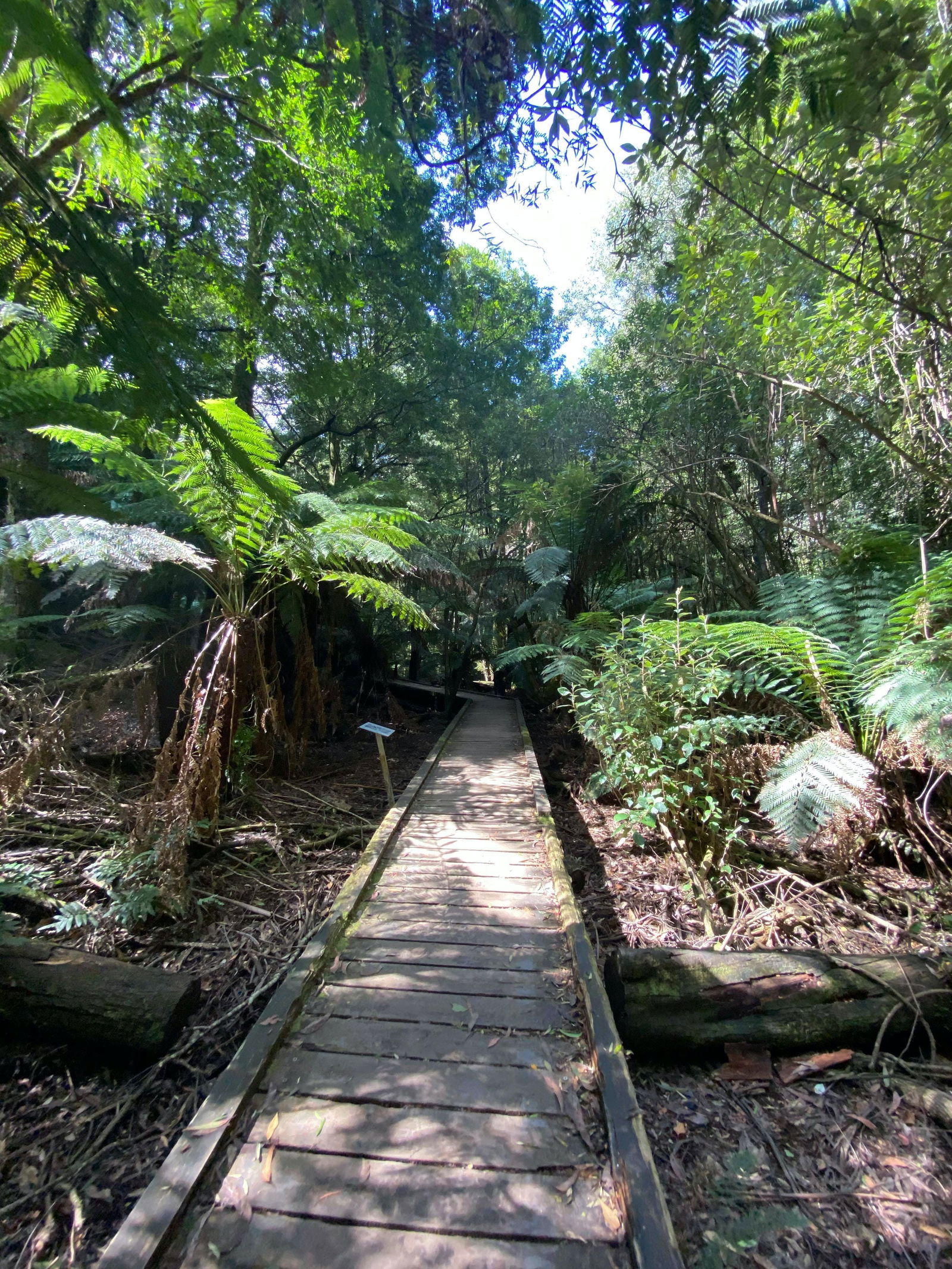 Toolangi VIC Kawana Tourism