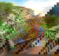 Woody Island Nature Reserve - Kawana Tourism