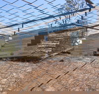 Aboriginal Carvings - Kawana Tourism