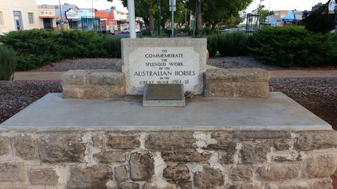 Barmera Horse Trough - Kawana Tourism 0