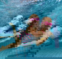 Blacktown Aquatic Centre - Kawana Tourism