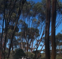 Boorabbin National Park - Kawana Tourism