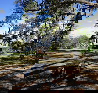 Bowen Mountain Park - Kawana Tourism