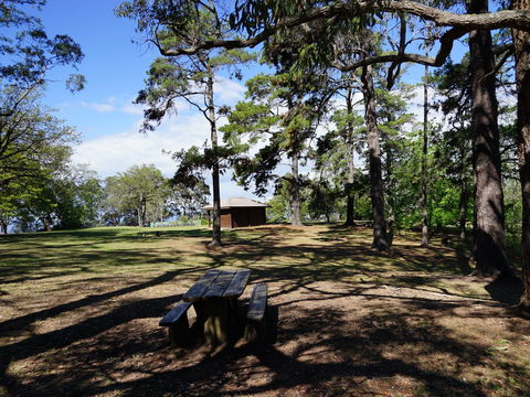 Bowen Mountain Park - Kawana Tourism 0