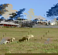 Calmsley Hill City Farm - Kawana Tourism