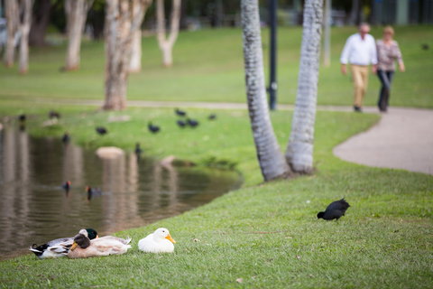 Centenary Lakes Park - Kawana Tourism 2