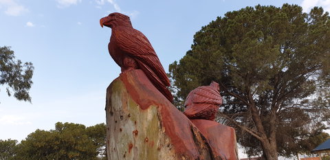 Chainsaw Tree Sculpture - Kawana Tourism 0