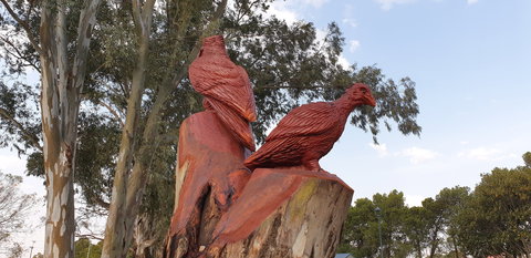 Chainsaw Tree Sculpture - Kawana Tourism 1