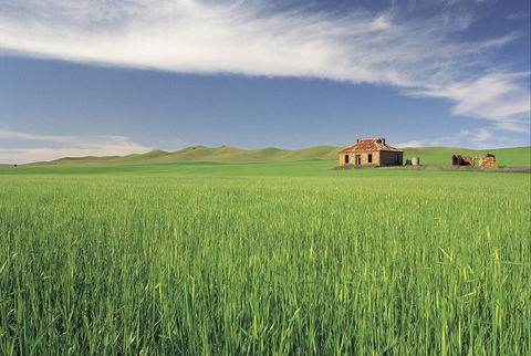 Clare Valley - Kawana Tourism 1