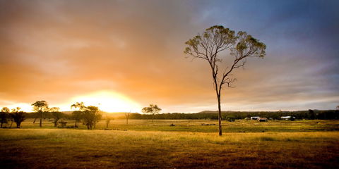 Cooyar - Kawana Tourism 0
