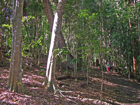 Cooyar - Kawana Tourism 1