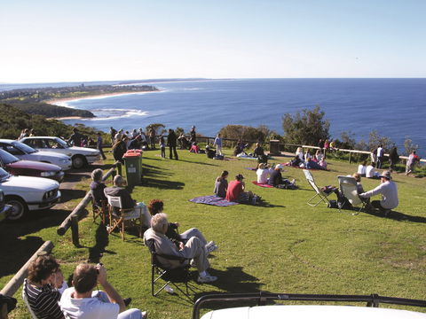 Crackneck Point Lookout - Kawana Tourism 0