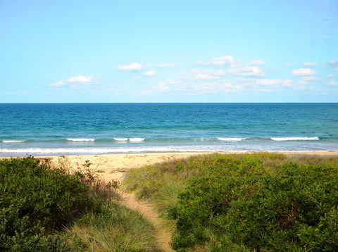 Culburra Surf Beach - Kawana Tourism 1