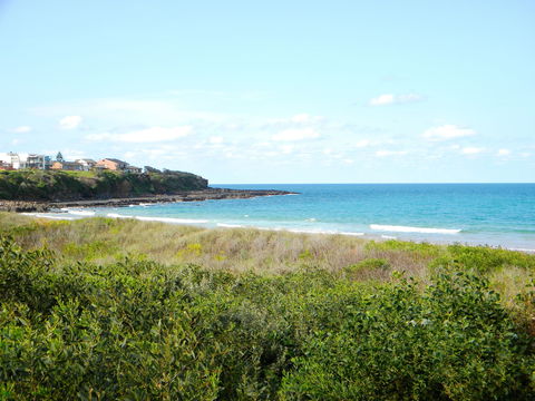 Culburra Surf Beach - Kawana Tourism 2