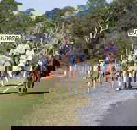 Dayboro - Kawana Tourism